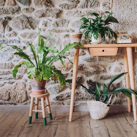 Casa De Santa Uxia * Ézaro